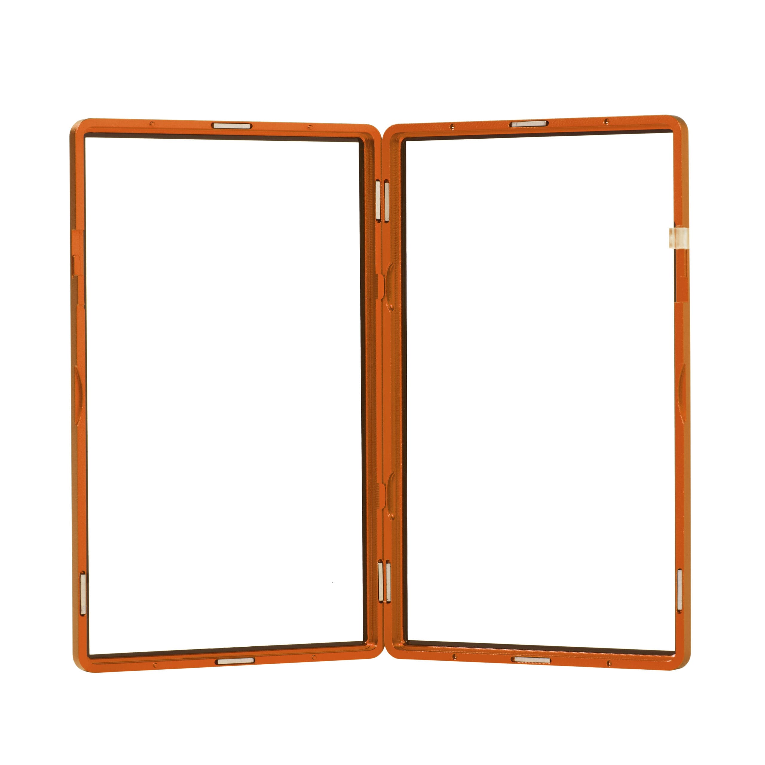 standard psa frame wild case eggshell ten gold (copy) standard psa frame wild case eggshell ten gold (copy)