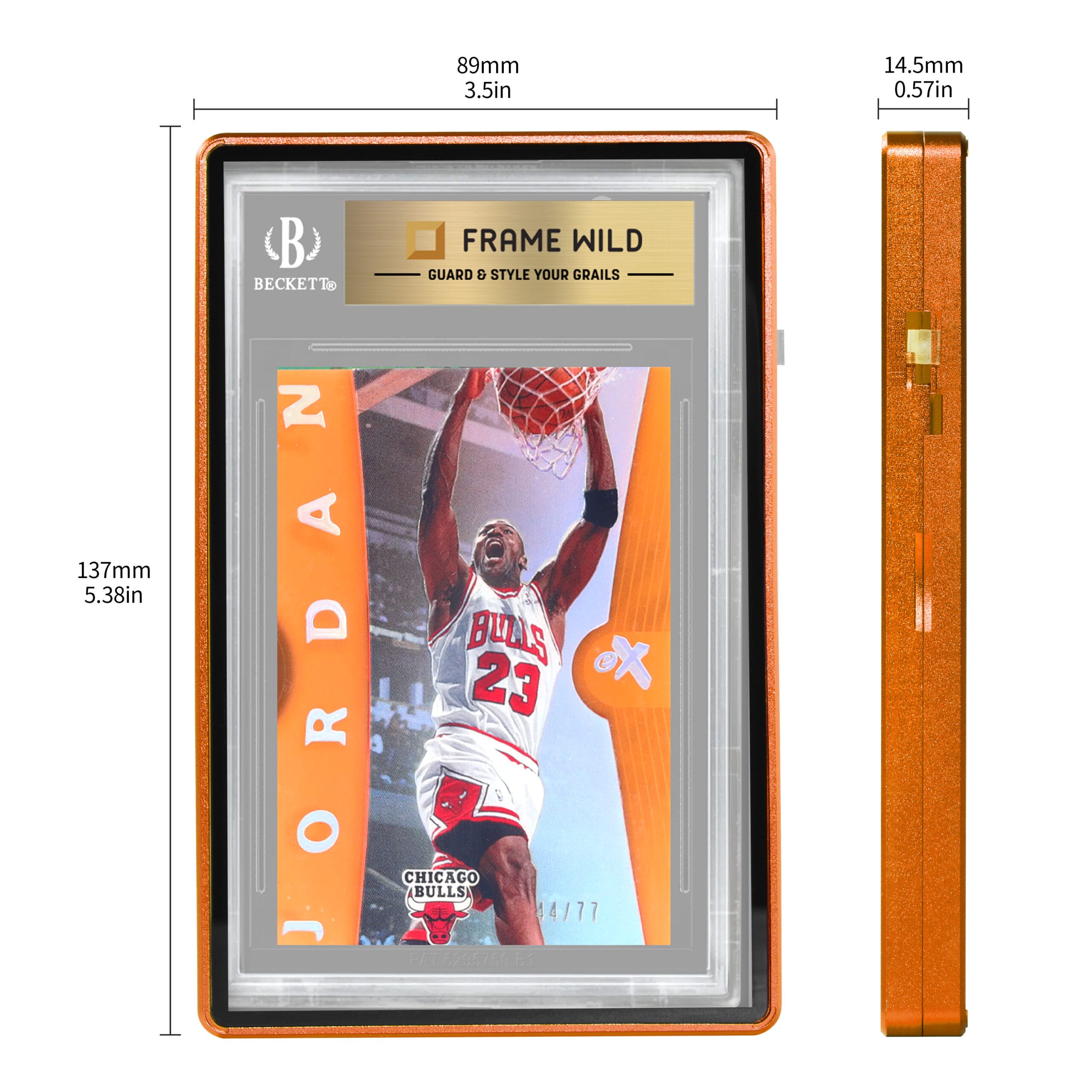 medium sized bgs frame wild case eggshell ten gold (copy) medium sized bgs frame wild case eggshell ten gold (copy)