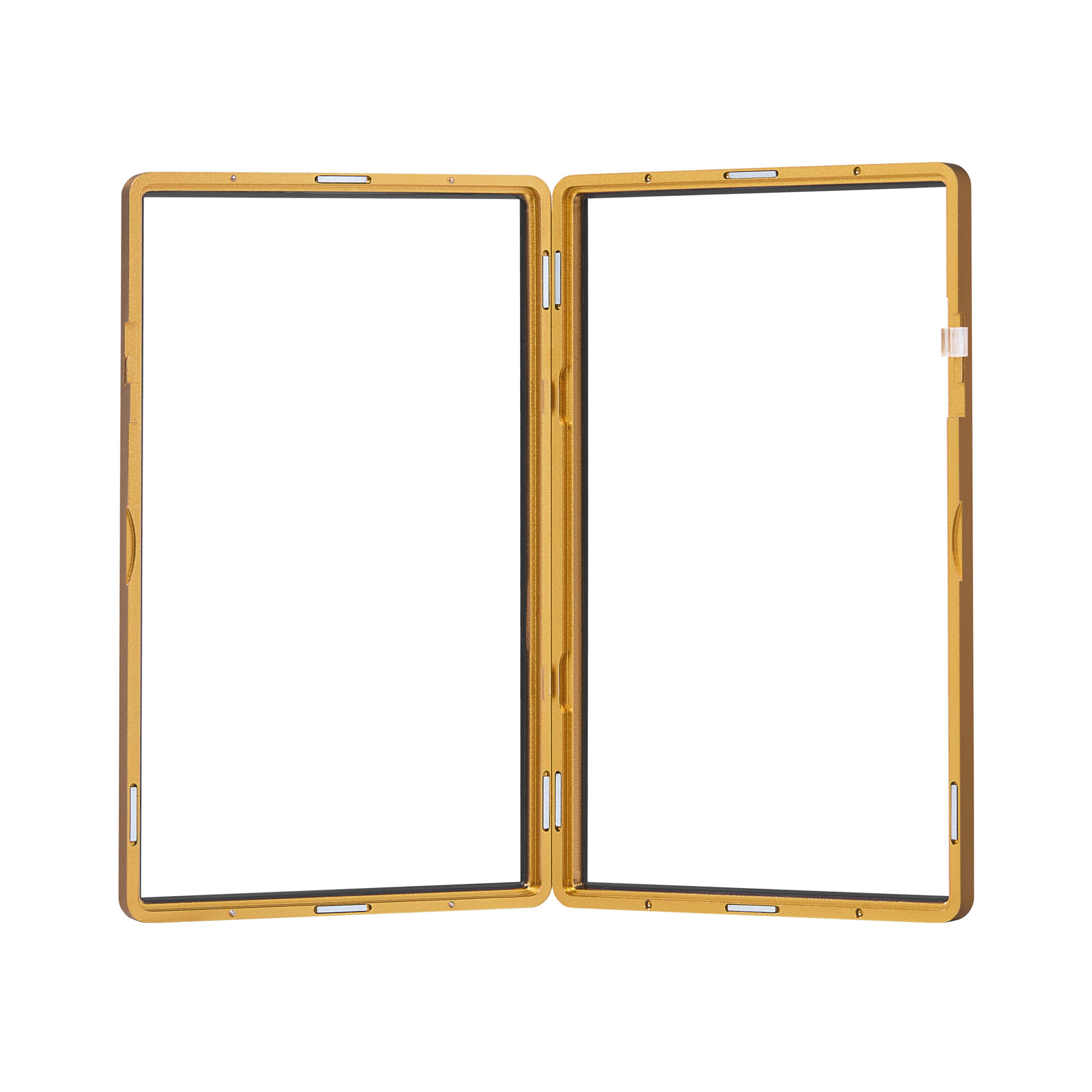 medium sized bgs frame wild case eggshell ten gold medium sized bgs frame wild case eggshell ten gold