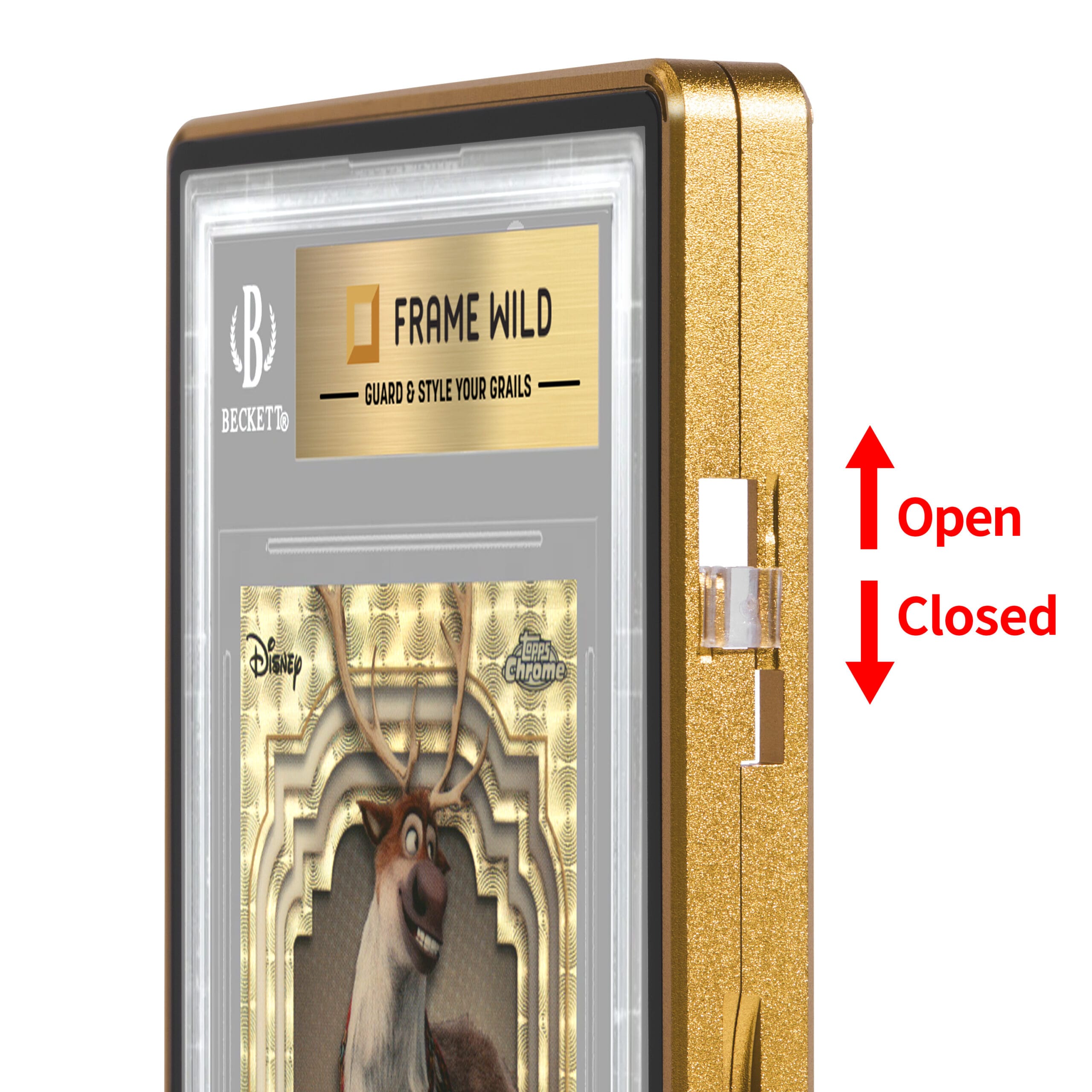 standard bgs frame wild case eggshell ten gold standard bgs frame wild case eggshell ten gold
