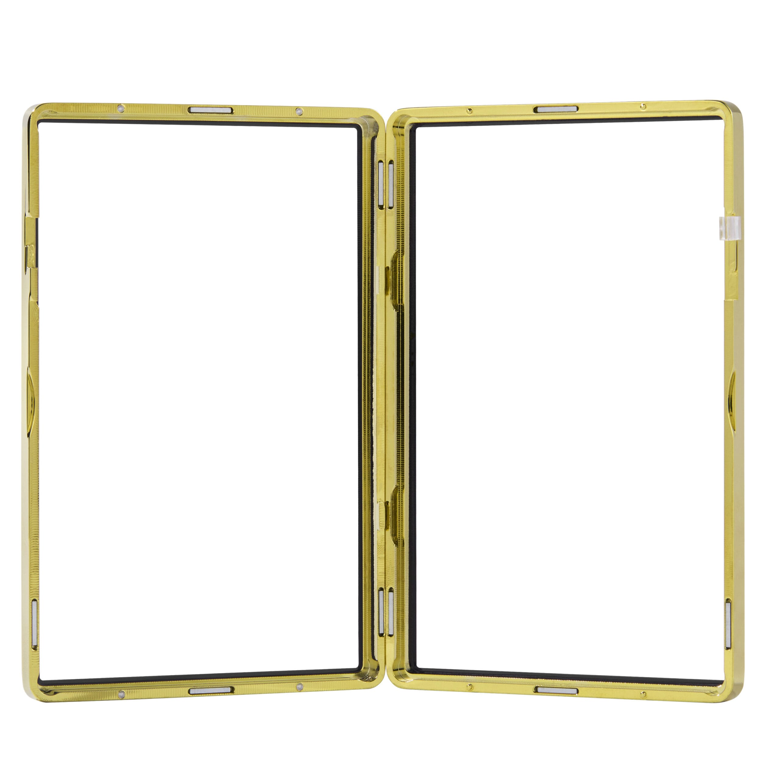 standard bgs frame wild case shiny gold standard bgs frame wild case shiny gold