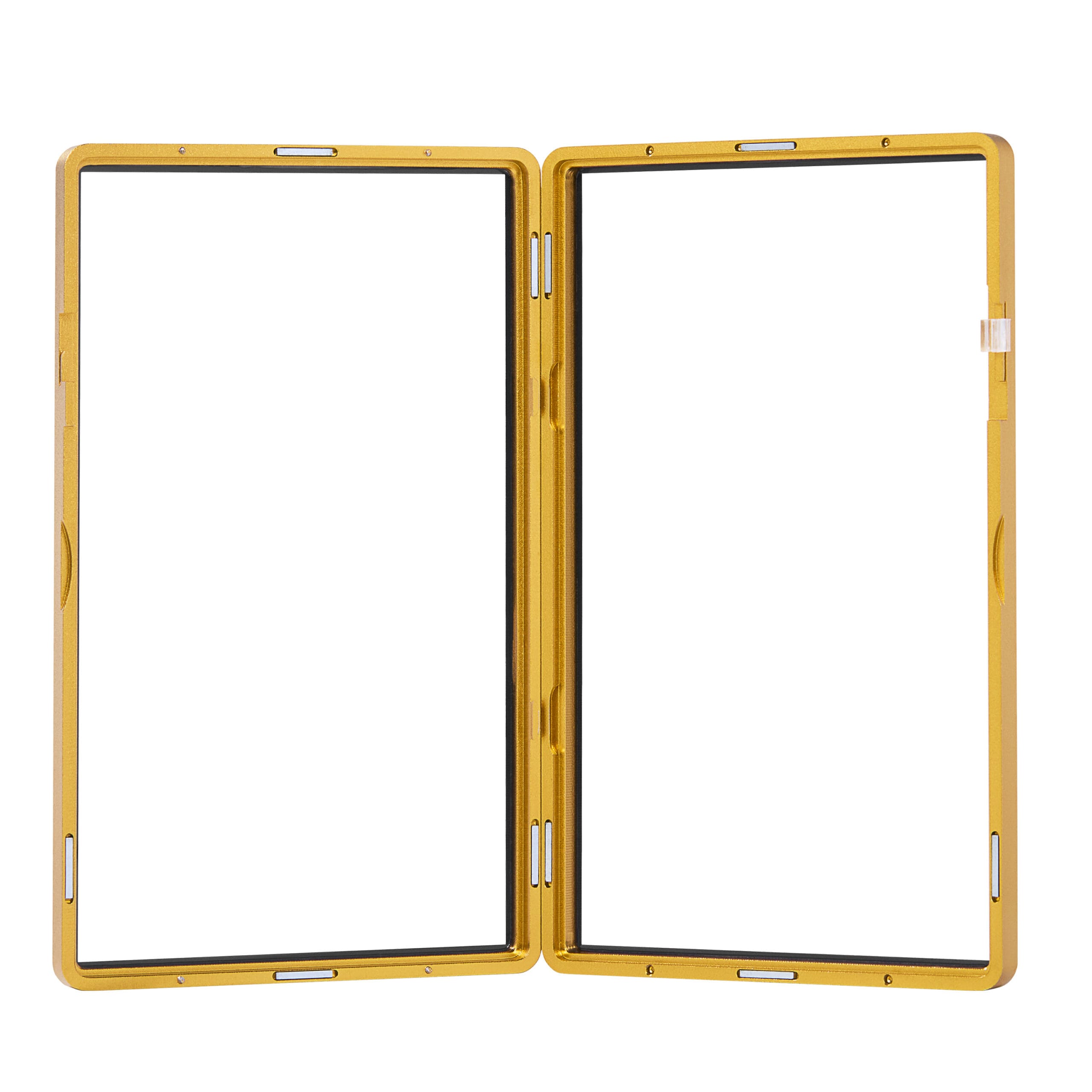 medium sized bgs frame wild case eggshell ten gold medium sized bgs frame wild case eggshell ten gold