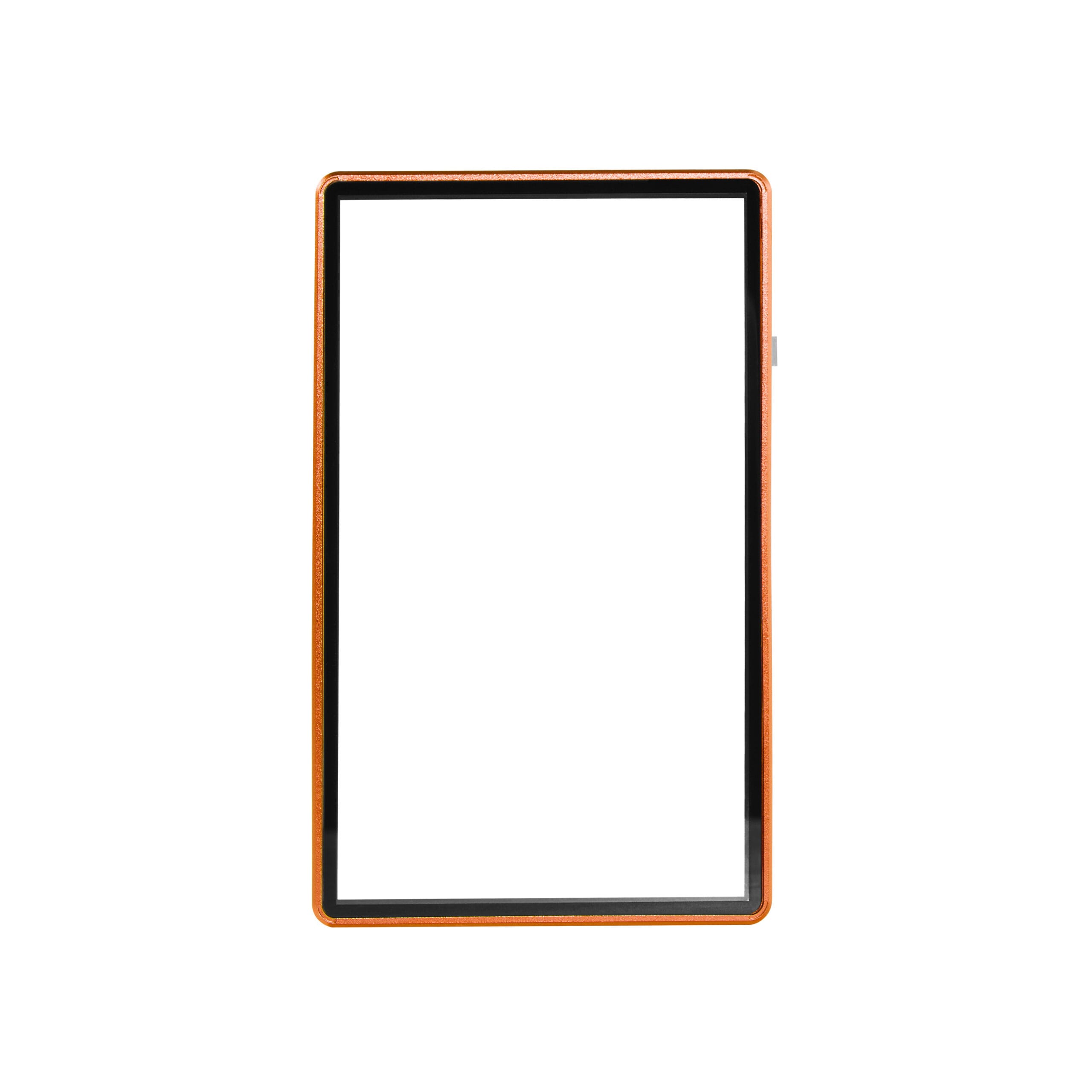 standard psa frame wild case eggshell ten gold (copy) standard psa frame wild case eggshell ten gold (copy)