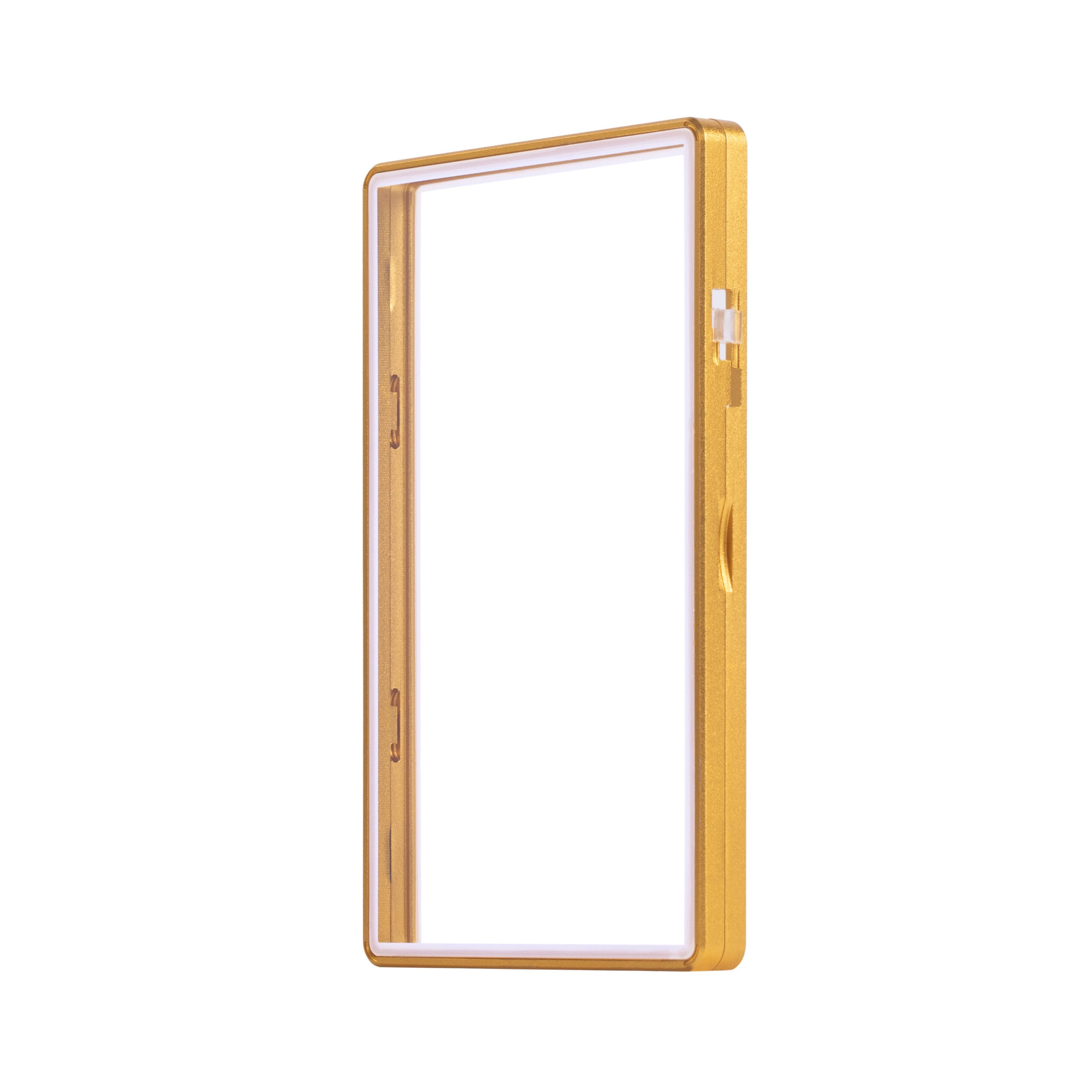 color glass series standard psa frame wild case eggshell ten gold with white glass border color glass series standard psa frame wild case eggshell ten gold with white glass border